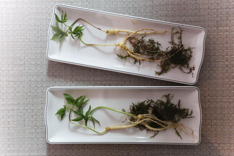 Food & Drinks 3, Cheonan Green Hill, Cheonan