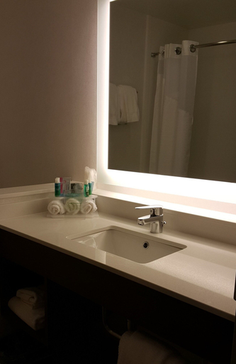 Bathroom 2, Holiday Inn Express & Suites TOLEDO WEST by IHG, Lucas