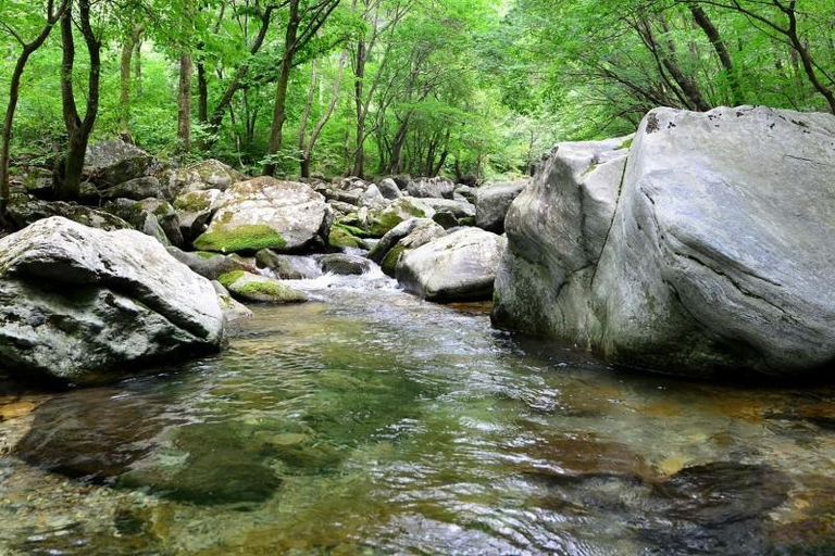 Others 2, Gapyeong Lavender Pension, Gapyeong