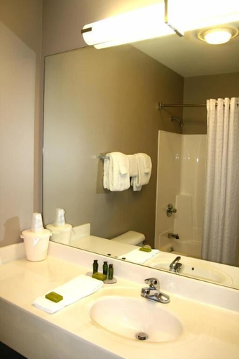 Bathroom 5, Carpenter Street Hotel, Sangamon