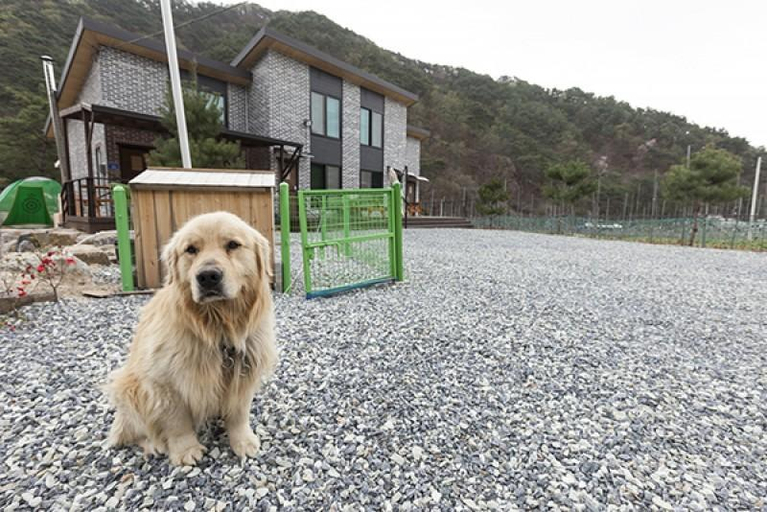 Others 4, Jecheon Kakao Pension, Wonju