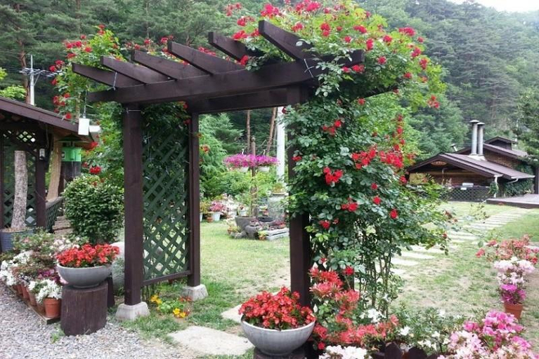 2, Yangyang Bidanhyang Wallflower Pension, Yangyang