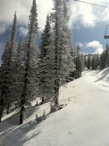 Others 5, The Nordic Lodge, Routt