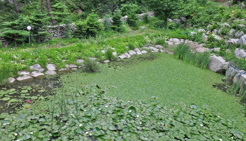 Others 4, Hongcheon Yongso Valley Pension, Hongcheon
