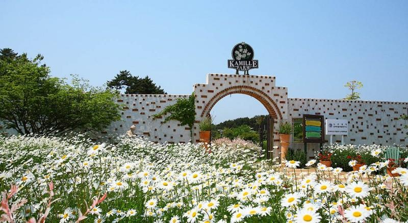 4, Taean Seohaesong Pension, Taean