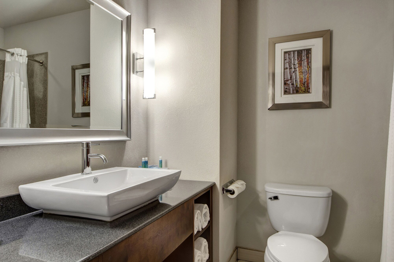Bathroom 4, Holiday Inn Express & Suites OKLAHOMA CITY NORTH, Oklahoma