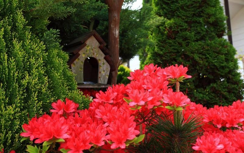 Others 5, Taean Morwenna Pension, Taean