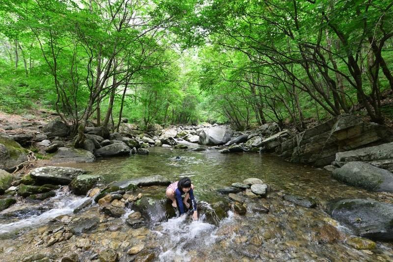 Others 4, Gapyeong Lavender Pension, Gapyeong
