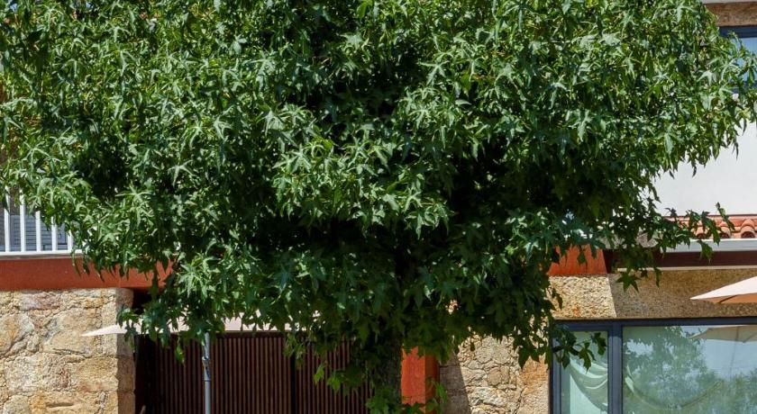Casa Tarrio - Casa Privada com 3 Quartos e Piscina, Vila Verde