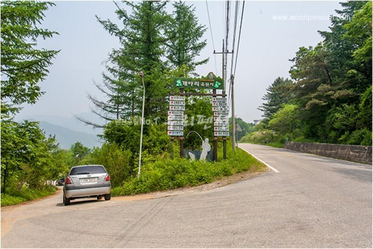 Others 4, Hongcheon Cosmos Pension, Chuncheon