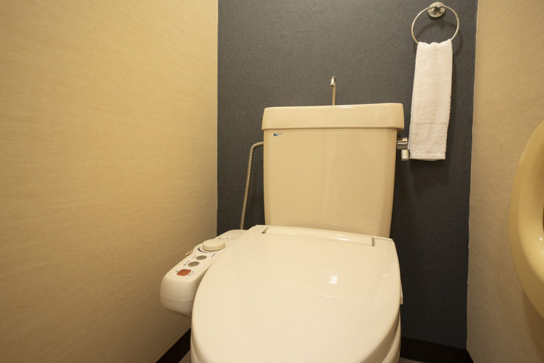 Bathroom 5, Hiranoya, Gamagōri