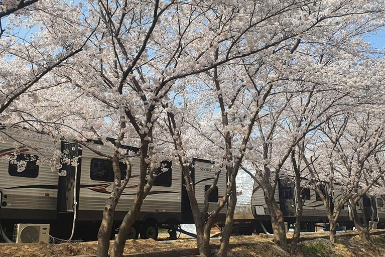 Exterior & Views 4, Pohang Green Rose Caravan, Pohang