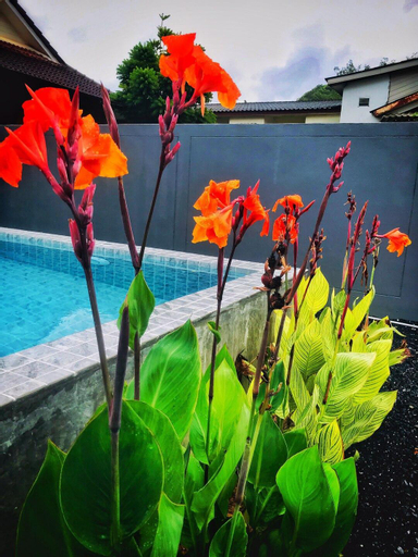 Sport & Beauty 1, Well Journey Pool Villa Aonang Krabi - 1 bedroom, Mueang Krabi