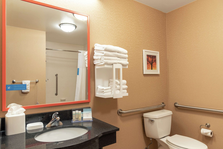Bathroom 4, Hampton Inn & Suites Marshalltown, Marshall