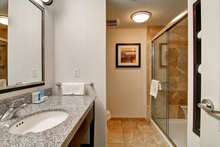 Bathroom 4, Hampton Inn & Suites by Hilton Red Deer, Division No. 8