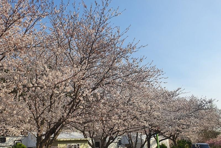 Exterior & Views 1, Pohang Green Rose Caravan, Pohang