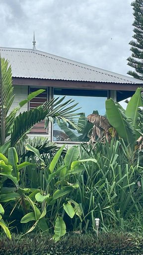 Exterior & Views, Poé Côté Lagon Beach Bungalows, Bourail