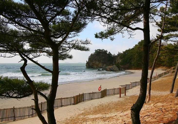 Others 1, Taean Happy Tree Pension, Taean