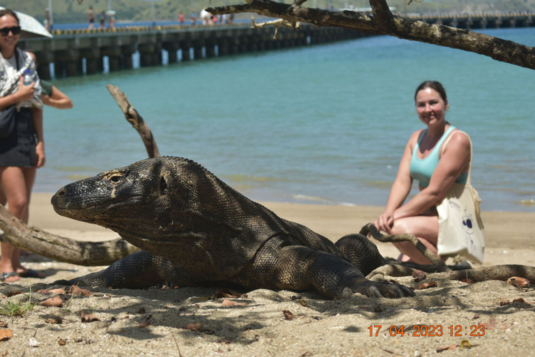 Others 2, AG Home Stay, Lombok