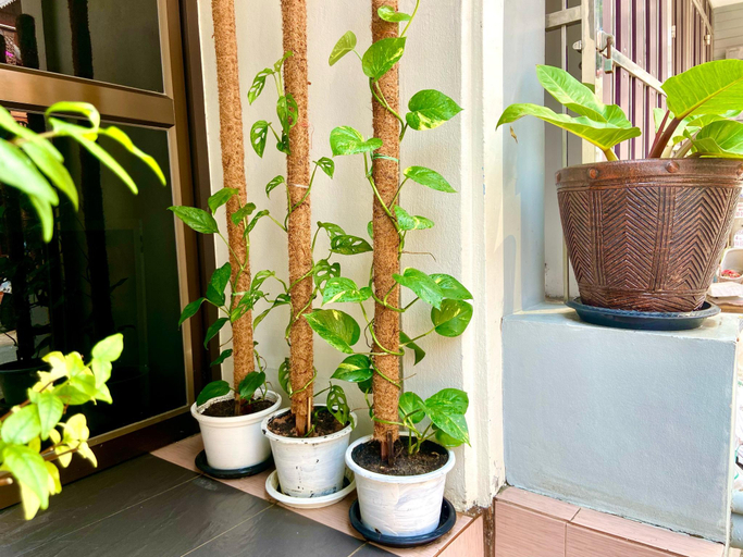 Others 4, Sumalee hotel 12, Pattaya