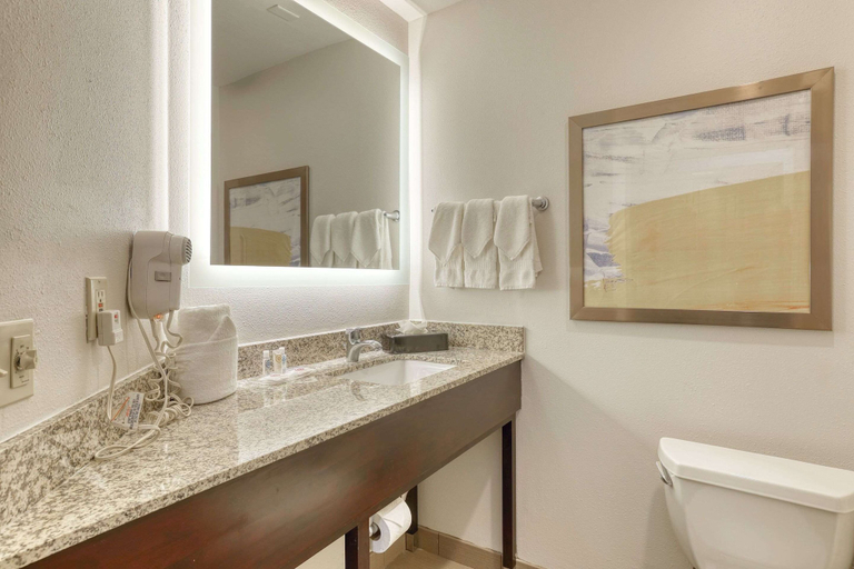 Bathroom 5, Comfort Suites Milwaukee Airport, Milwaukee