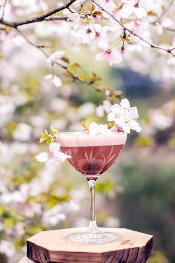 Food & Drinks 5, Beaverbrook Town House, London