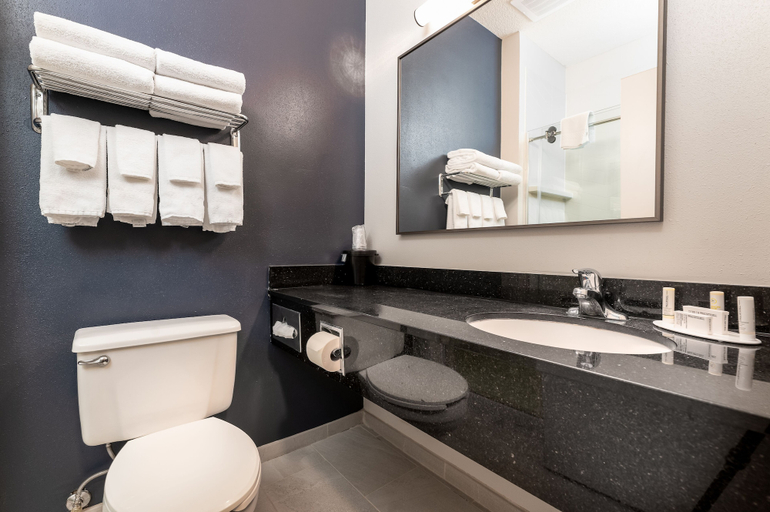 Bathroom 5, Fairfield Inn & Suites by Marriott Spearfish, Lawrence