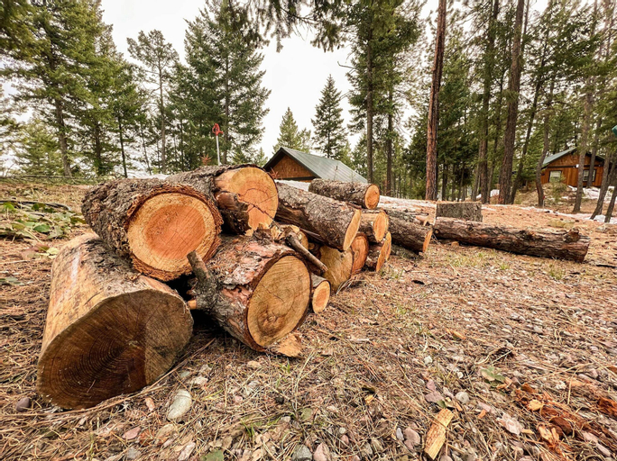 Others 5, Whispering Pines cabin rentals, Flathead