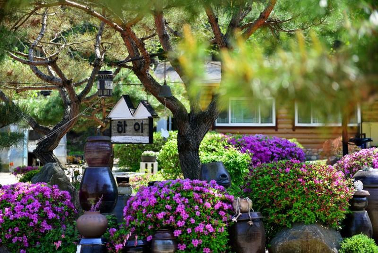 Others 1, Chuncheon Pension High, Chuncheon
