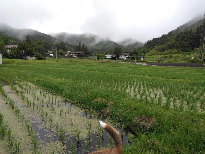 Others 5, Minpaku Sarai Nikkoya, Numata