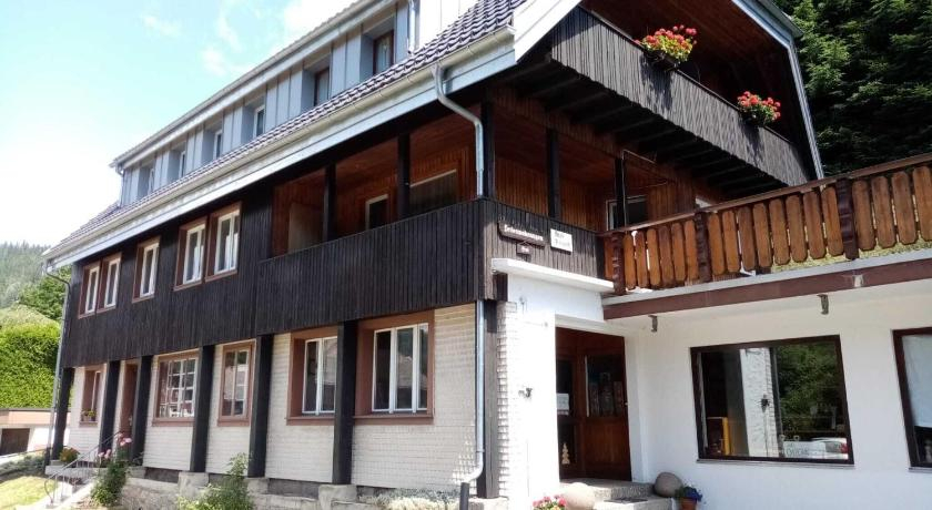 Cosy flat in St Blasien in the Black Forest with balcony and private terrace, Waldshut