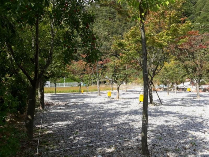 Others 5, Yeongwol Neulpureun Pension Camping Site (Special Offer), Yeongwol