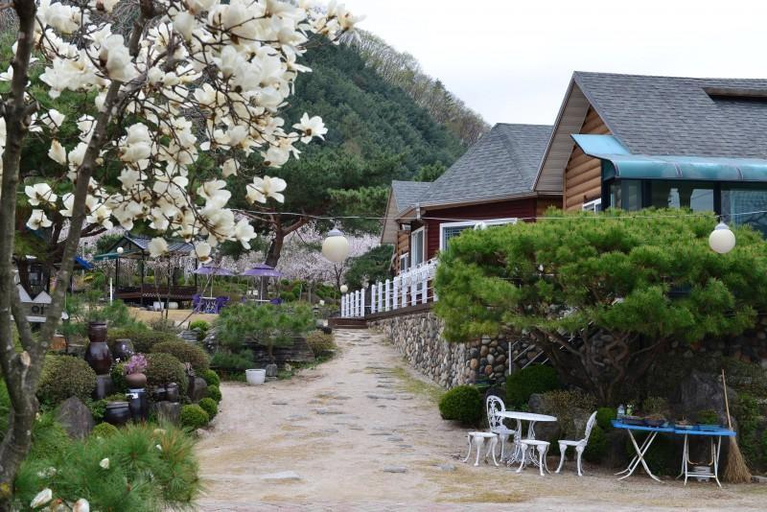 Others 4, Chuncheon Pension High, Chuncheon