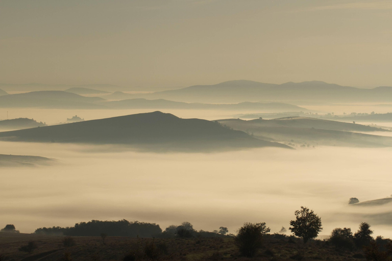 Others 5, Viscri 9, Bunesti