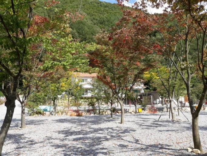Others 4, Yeongwol Neulpureun Pension Camping Site (Special Offer), Yeongwol