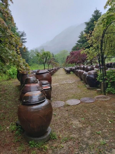 Others 4, Inje Juhongsanjang Pension, Inje