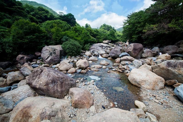 Others 3, Sancheong Jirisan Resort glamping, Sancheong