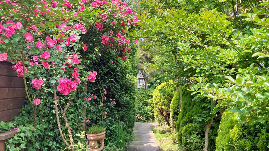 Others 5, Anmyeondo Tamarind Pension, Taean