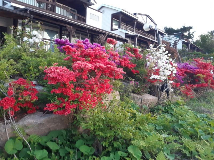 Others 5, Seosan Sarangae Pension, Seosan