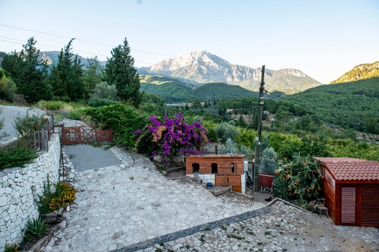 Others 4, Trinitys Forest Bungalows, Kemer