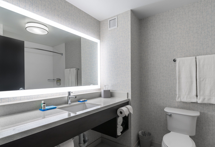 Bathroom 5, Holiday Inn Express & Suites YUMA by IHG, Yuma