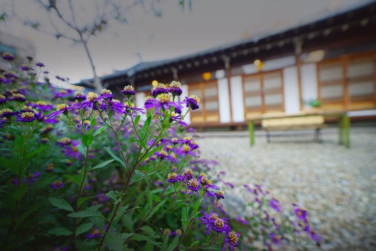 Exterior & Views 4, Jeonju Hanok Village Hanok Mibbeum, Jeonju