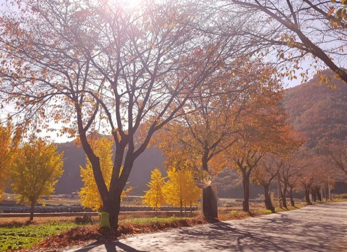 Others 3, Jinan Juyang Shelter Pension, Jinan
