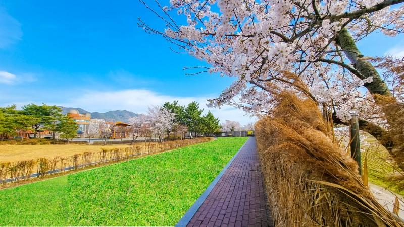 Others 2, Suncheon Suncheon Bay Eco Village 2 Pension, Suncheon