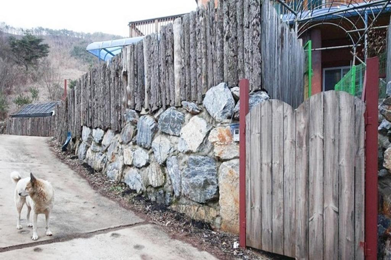 Exterior view 2, Yeongwol Nature Healing Pension, Yeongwol