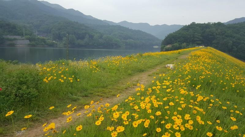 Others 1, Villa Pension in Cheonan, Cheonan