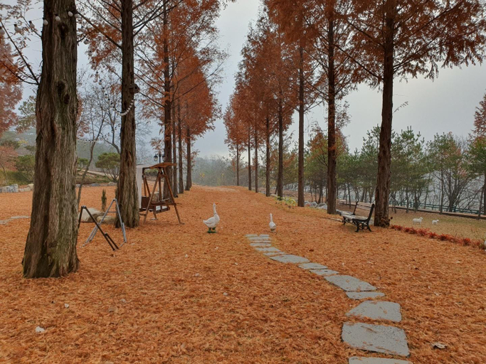Others 5, Yeongwol Sweet House, Yeongwol