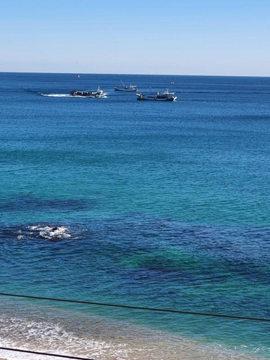 Others 5, Yeongdeok Sea Blue Pension, Yeongdeok