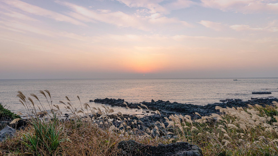 Others 5, Jeju and Pension, Seogwipo