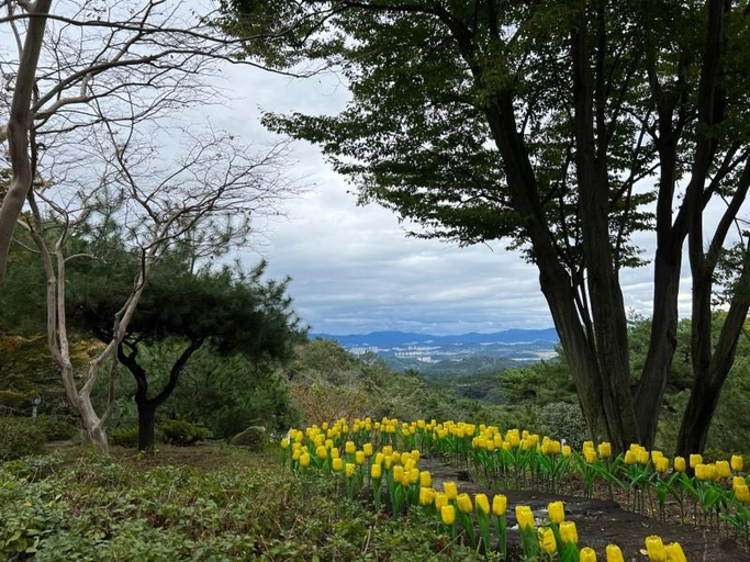 Others 2, Suncheon Cheonji Glamping Pension, Suncheon